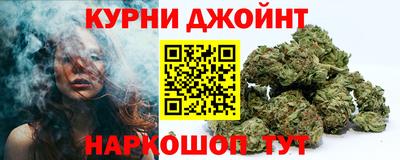 крисы Малгобек