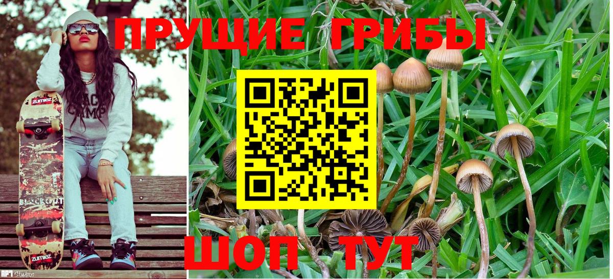 Псилоцибиновые грибы Magic Shrooms  Вход с VPN  Галлюциногенные грибы MAGIC MUSHROOMS  Торжок 